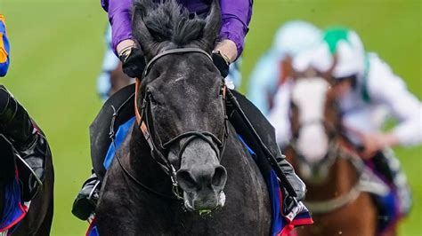 king edward vii stakes stats|Royal Ascot 2022: King Edward VII Stakes Stats Guide .